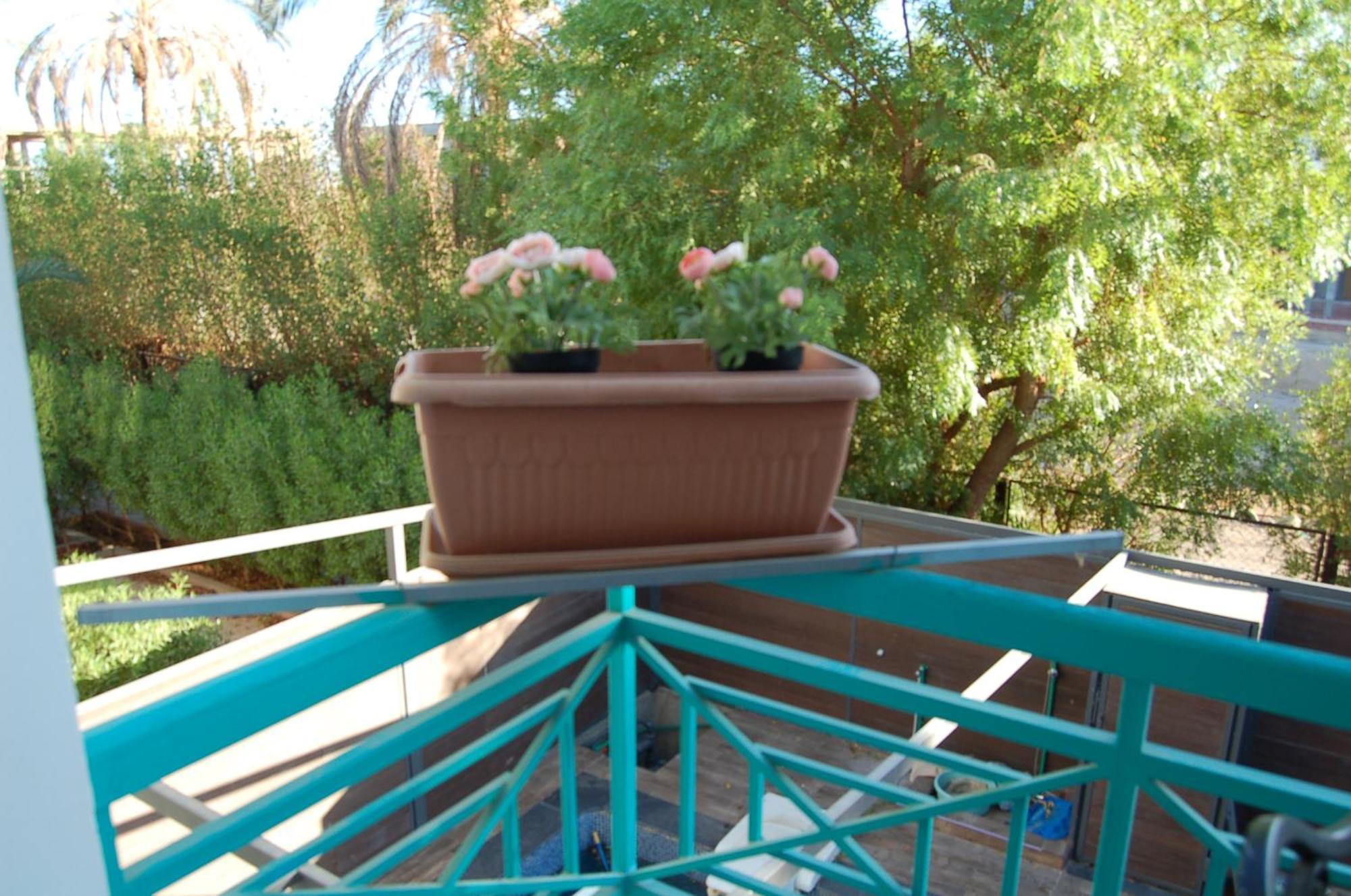 Naama Bay Luxury Stylish Entire Flat With En-Suit Rooms -Centre Of Sharm Eksteriør bilde